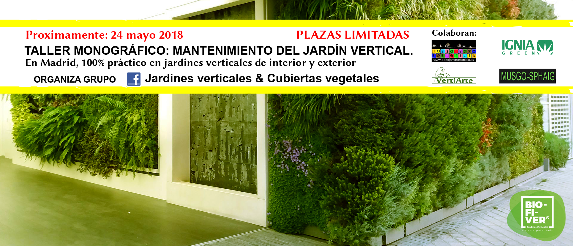 Taller monográfico: Mantenimiento del jardín vertical