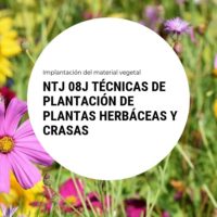 NTJ 08J TÉCNICAS DE PLANTACIÓN DE PLANTAS HERBÁCEAS Y CRASAS