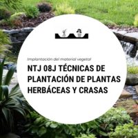 NTJ 08J TÉCNICAS DE PLANTACIÓN DE PLANTAS HERBÁCEAS Y CRASAS