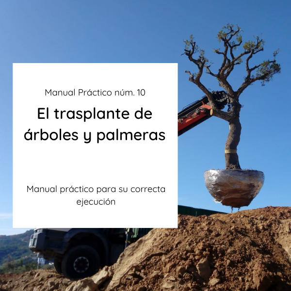 MP10 | El Trasplante de árboles y palmeras - Normas Técnicas de jardinería  y paisajismo