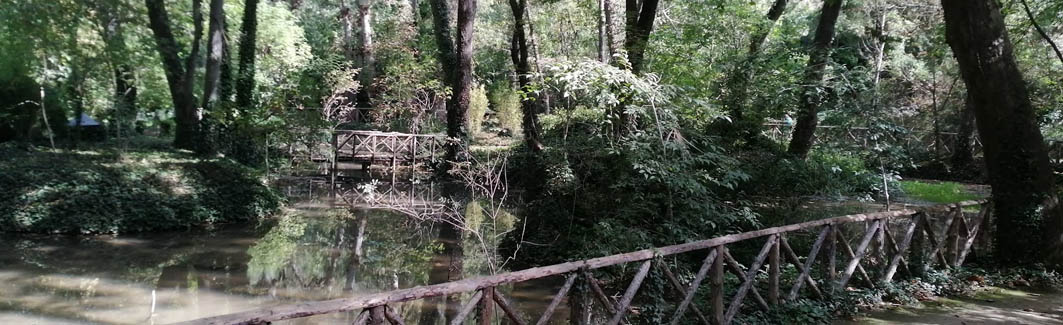 entrada-renovacion-acuerdo-forestales